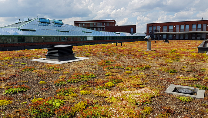 Wat zijn de valkuilen bij het ontwerpen van multifunctionele daken?