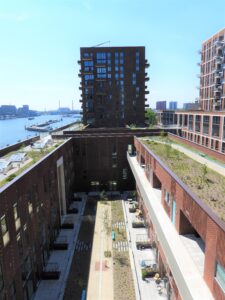 Groene Kaap TotaalDakConcept